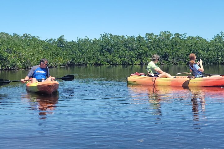 Kayak through Mangrove Forests in the Florida Keys