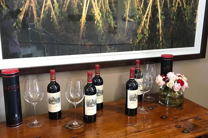 Stellenbosch, Franschhoek, Paarl 15 Wine Tasting Private Tour