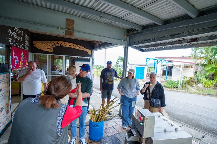 【Customizable】Ishigaki Private Tour -Up to 4 People, Flat Rate-