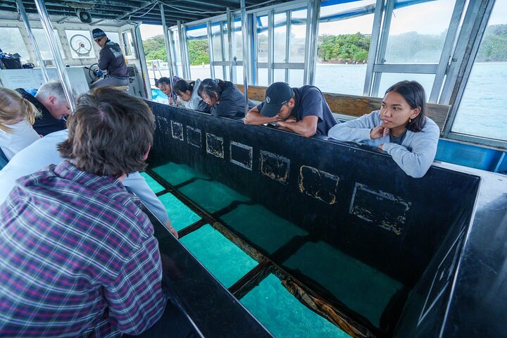 【Customizable】Ishigaki Private Tour -Up to 4 People, Flat Rate-