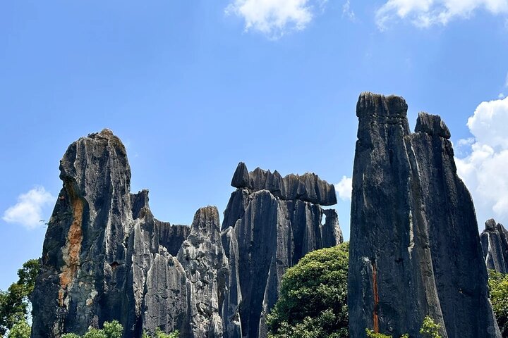 Stone Forest + Yiliang Roast Duck + Kunming City Private Tour
