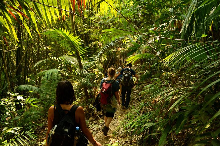 2 Days Multi Adventure in Nam Ha NPA: Trek and Kayak