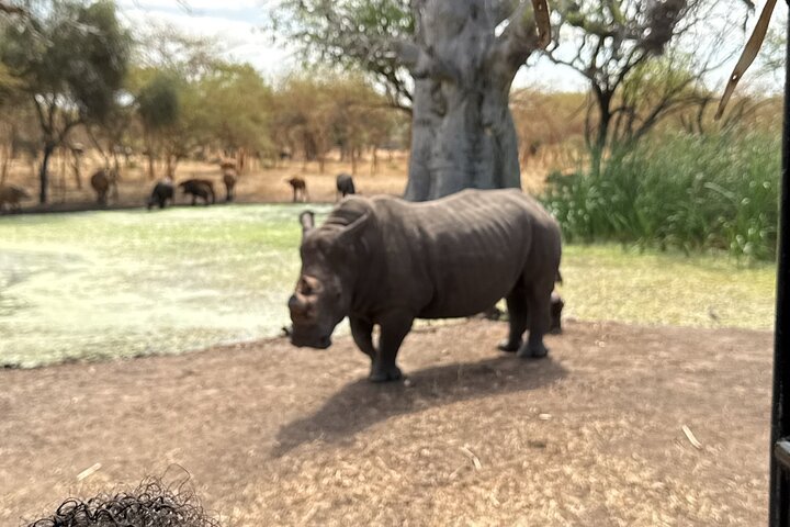 Discover Bandia Safari and the Pink Lake 2 Participants Minimum
