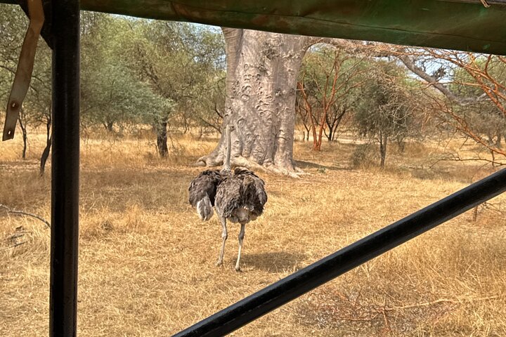 Discover Bandia Safari and the Pink Lake 2 Participants Minimum