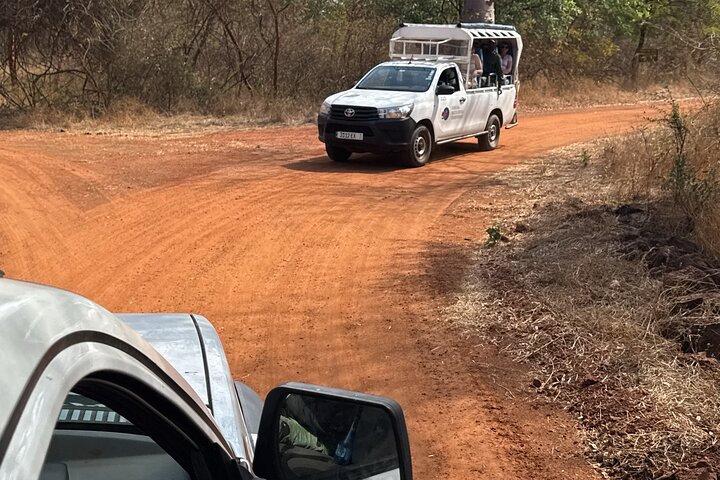 Discover Bandia Safari and the Pink Lake 2 Participants Minimum