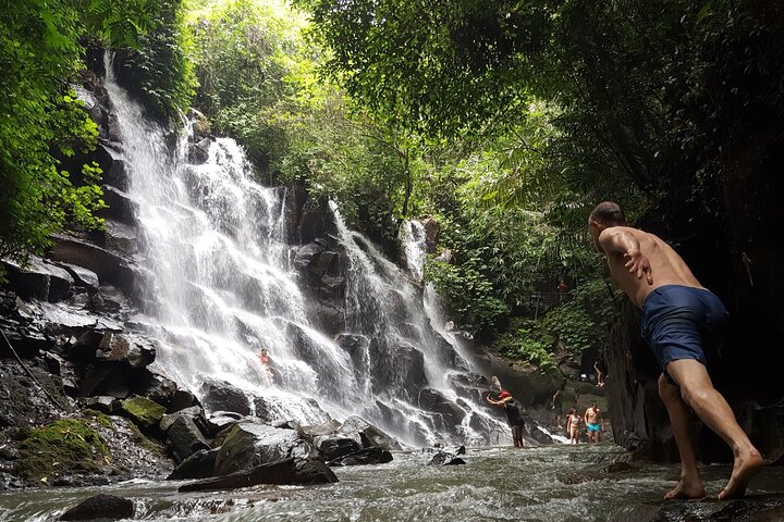 Ubud Private Tour - Waterfalls, Water Temple & Rice Terraces
