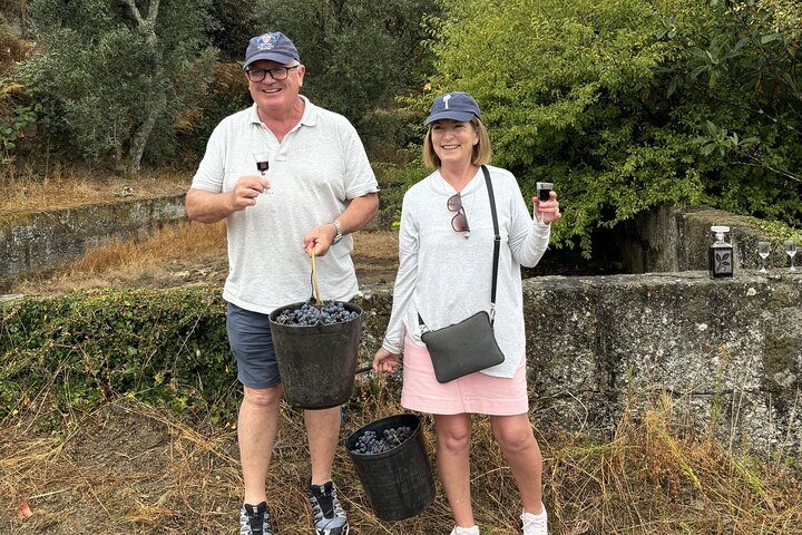 Best of the Douro in a Day: Boat, Wine and Family Lunch