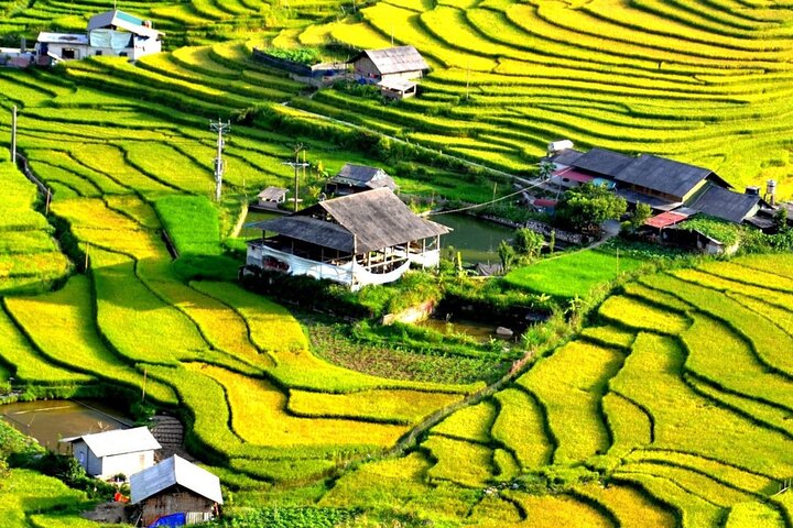 Private Tour Nghia Lo Mu Cang Chai Sapa Bac Ha 5-day from Hanoi
