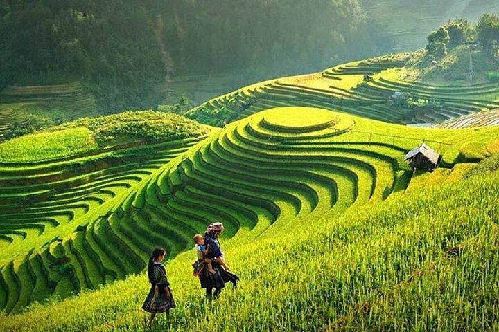 Private Tour Nghia Lo Mu Cang Chai Sapa Bac Ha 5-day from Hanoi