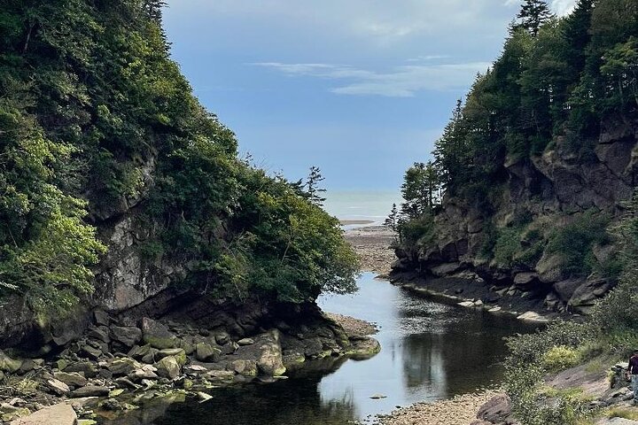 Shore and Hopewell Rocks Guided Tour