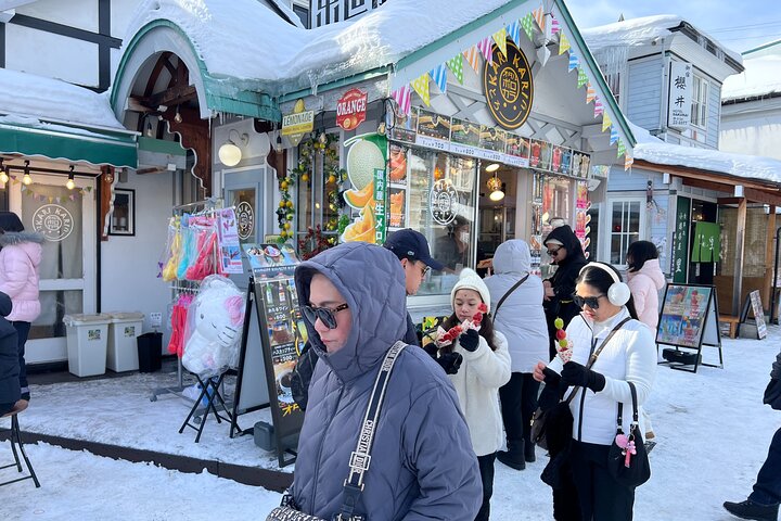 Private Customizable walking Tour in Otaru