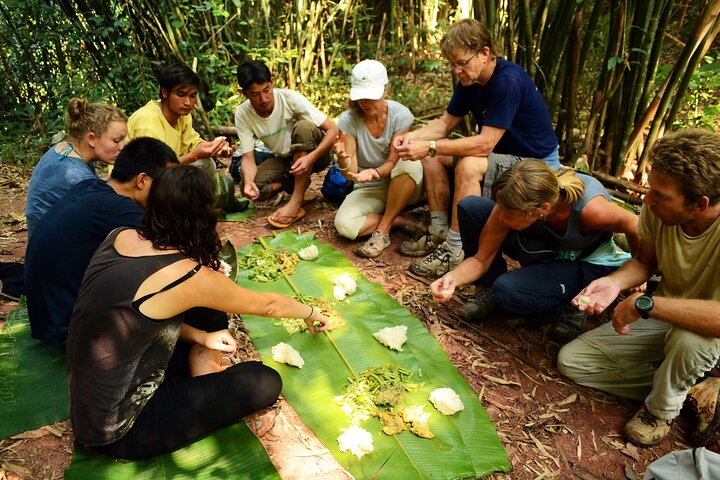 Jungle Experience: 1 Day Trek in Nam Ha NPA