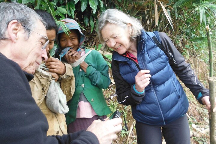 Jungle Experience: 1 Day Trek in Nam Ha NPA