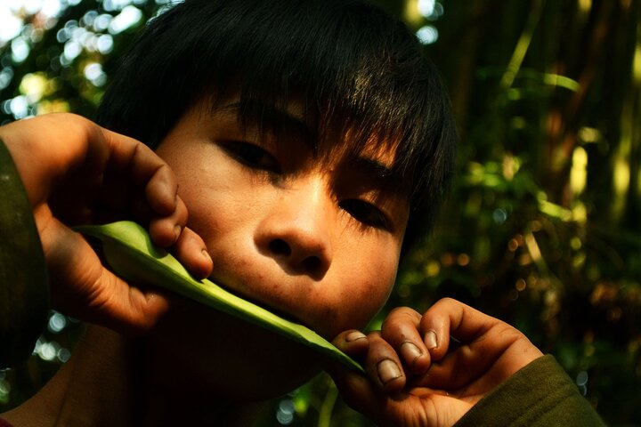 Jungle Experience: 1 Day Trek in Nam Ha NPA