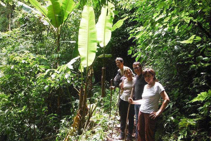 Jungle Experience: 1 Day Trek in Nam Ha NPA