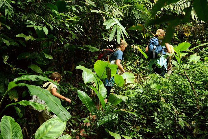 Nalan Trail and Khmu Tribe: 2 Days Trek in Nam Ha NPA