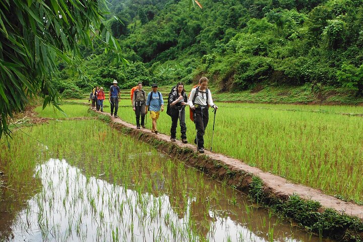 Nalan Trail and Khmu Tribe: 2 Days Trek in Nam Ha NPA