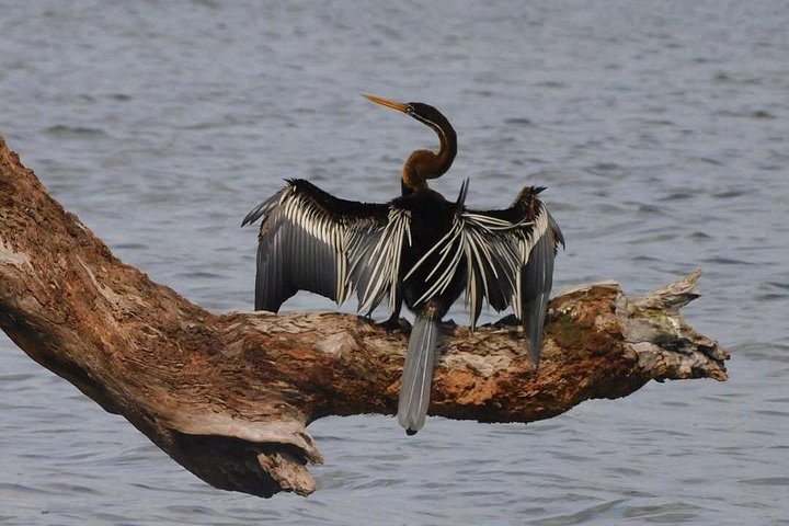 Yala National Park Safari Tours from Hambantota Port