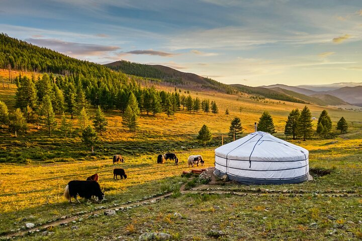 4 Days Experience in Central Mongolia