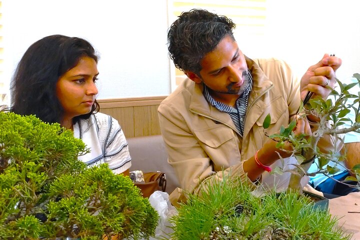 Bonsai Art Tour & Experience in Japan's Most Sacred "Bonsai City"