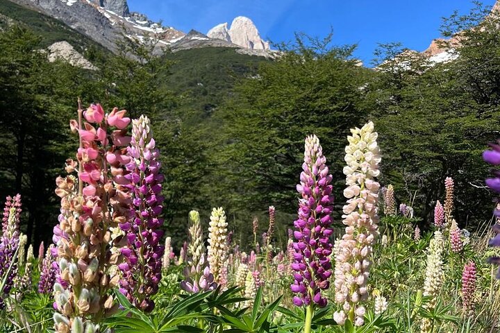 Alpine Adventure in Pollone Lagoon and Lake Electric Valley