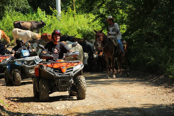 ATV Tour Rio Cuale Sierra Madre Mountains and tequila tasting