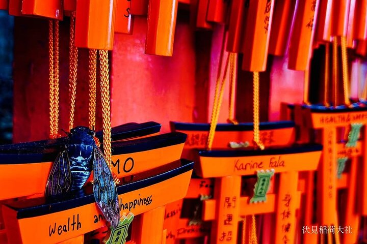 Osaka/Kyoto: Arashiyama, Fushimi Inari & Nara Park Day Trip