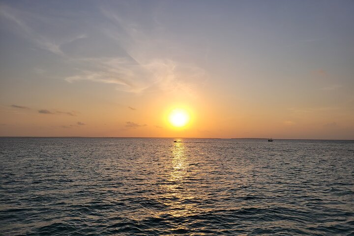 Mnemba Island Dolphin & Snorkeling Tour – Zanzibar Adventure