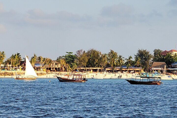 Mnemba Island Dolphin & Snorkeling Tour – Zanzibar Adventure