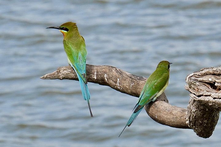 Yala National Park Safari Tours from Hambantota Port