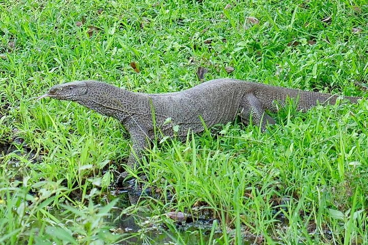 Yala National Park Safari Tours from Hambantota Port