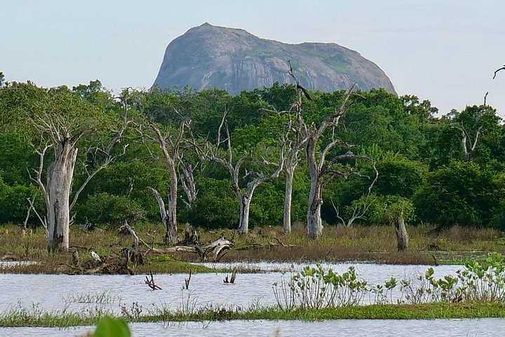Yala National Park Safari Tours from Hambantota Port