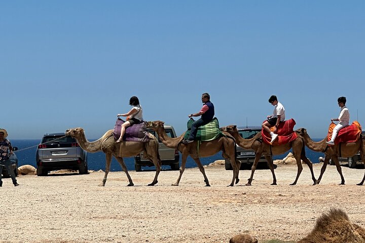 Luxury Private Tour of Tangier from Gibraltar All Inclusive