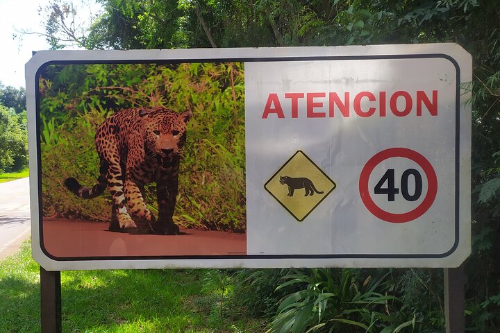 Private Iguazu Falls Tour: Brazil & Argentina in one VIP Day