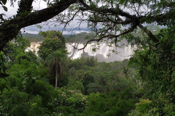 Private Iguazu Falls Tour: Brazil & Argentina in one VIP Day