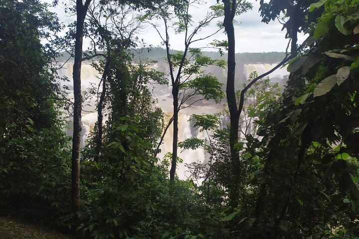 Private Iguazu Falls Tour: Brazil & Argentina in one VIP Day