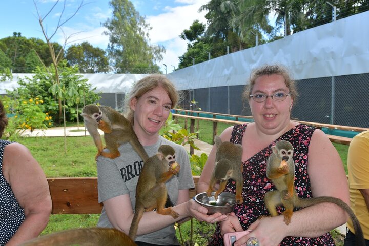 Monkey Home Tour and Damajagua waterfalls in Puerto Plata.