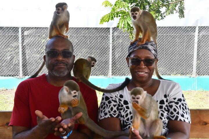 Monkey Home Tour and Damajagua waterfalls in Puerto Plata.