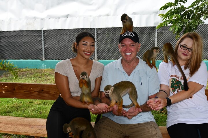 Monkey Home Tour and Damajagua waterfalls in Puerto Plata.