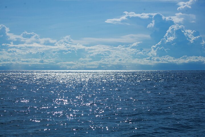 No Rush Morning & Afternoon 5 Stop Snorkeling tour for Koh Tao