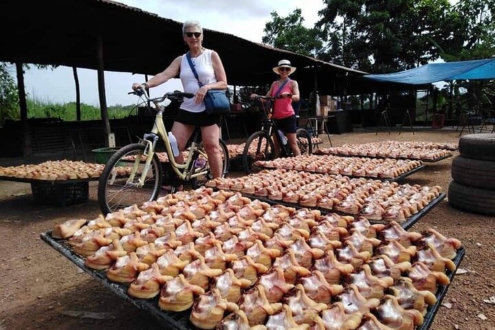 Sukhothai Countryside Day Tour
