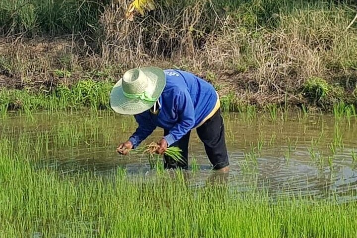 Sukhothai Countryside Day Tour