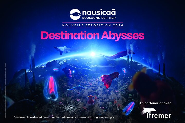 Entrance Ticket Nausicaa, the biggest aquarium in Europe