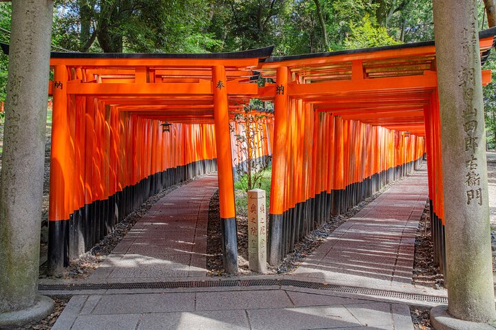 From Kyoto / Osaka: Kyoto Must-see Spots & Nara Park One Day Tour