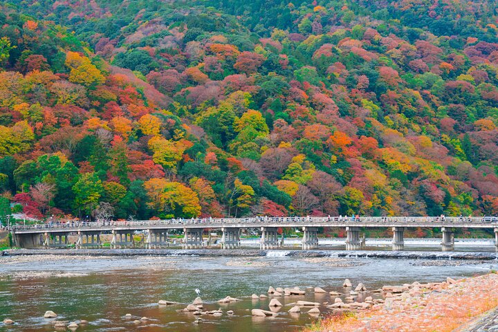 From Kyoto / Osaka: Kyoto Must-see Spots & Nara Park One Day Tour