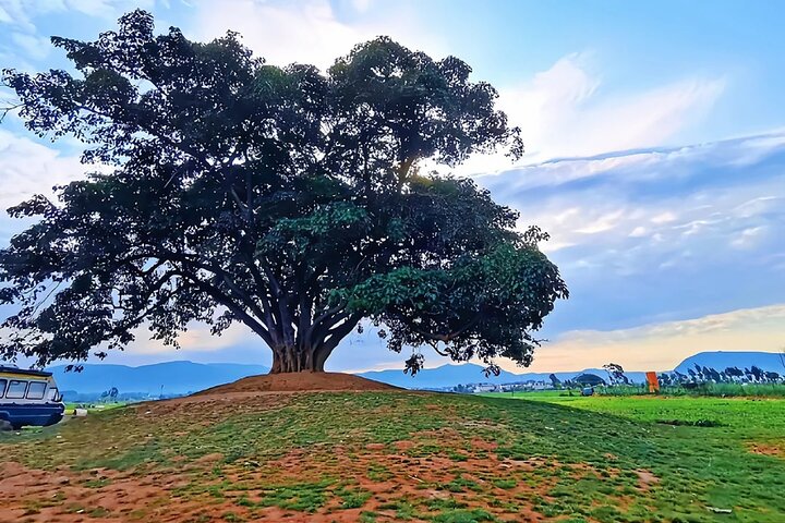 Dali and XIzhou Ancient Town Private Tour