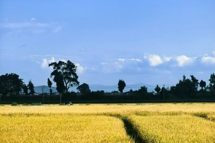 Dali and XIzhou Ancient Town Private Tour