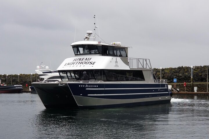 Alaska Whale Watching Cruise: 3 Hours on the Water