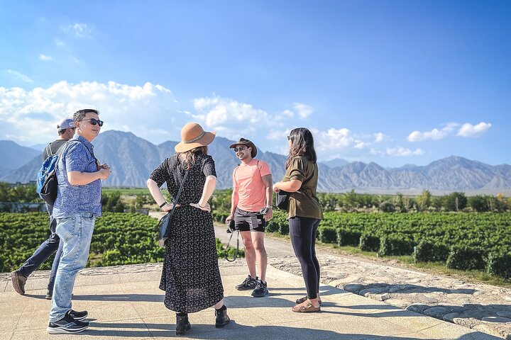 3-Day 2-Nignt Wine Taste Through China's Wine Region of Ningxia