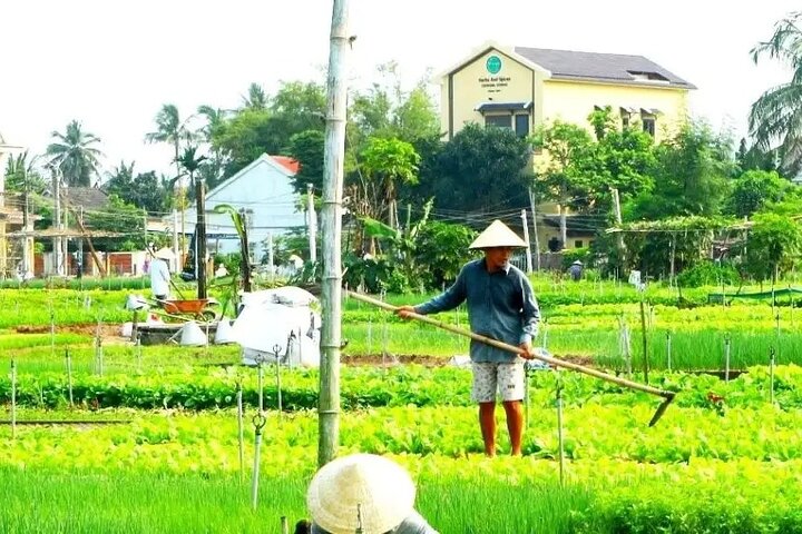 HOI AN Hidden Gems in Rural Villages & River Islands PRIVATE TOUR